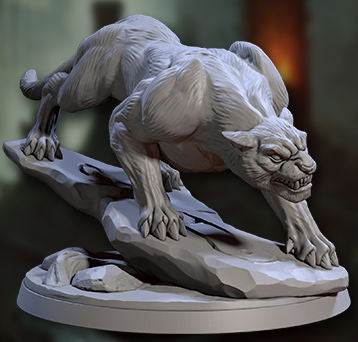 Veiled Panther A