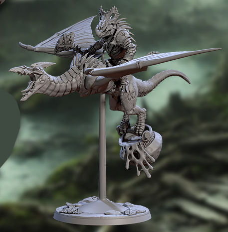 Helmed Pterowyvern Riders A