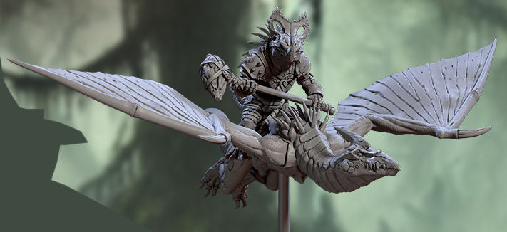 Helmed Pterowyvern Riders C