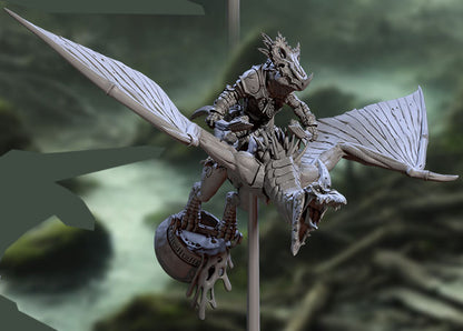Helmed Pterowyvern Riders D