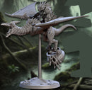 Pterowyvern Riders A