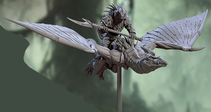 Pterowyvern Riders C