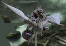 Pterowyvern Riders D