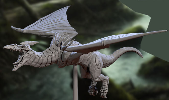 Wild Pterowyverns A
