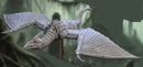 Wild Pterowyverns B