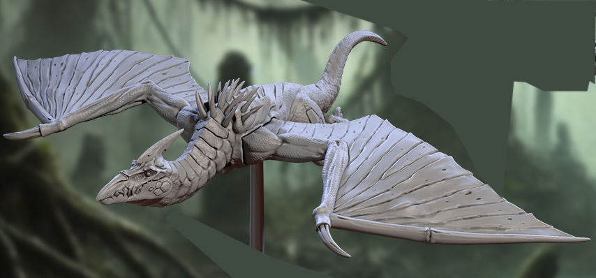 Wild Pterowyverns B