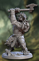 Helmed Ironkeep War Troll D