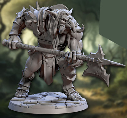 Ironkeep War Troll B