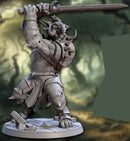 Ironkeep War Troll D
