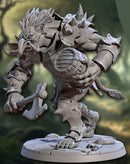 Ironkeep War Troll E