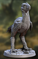 Terror Bird C