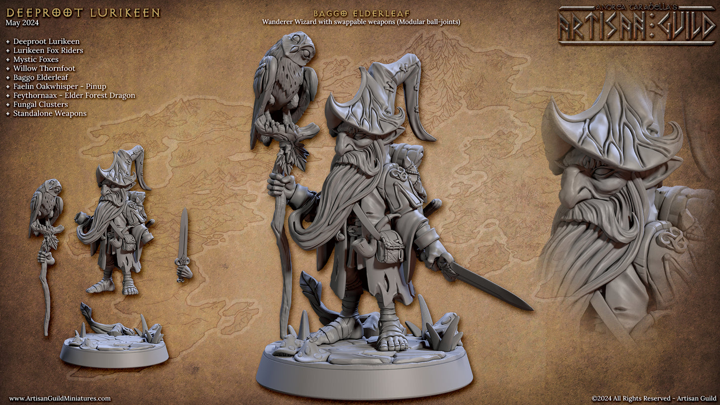 Baggo Elderleaf the Wanderer Wizard with scenic base