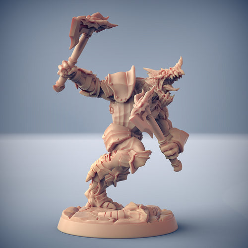 Dragonguard C