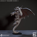 Assault Dragon Rider C