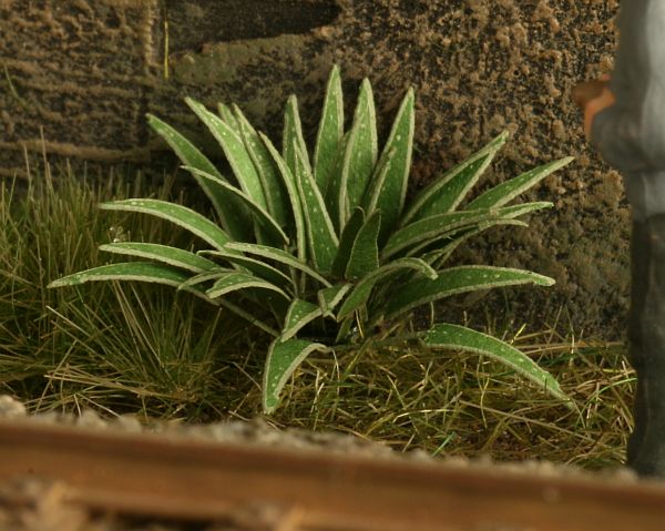 Model Scene - VG4-006 - Medium Hart’s Tongue Fern