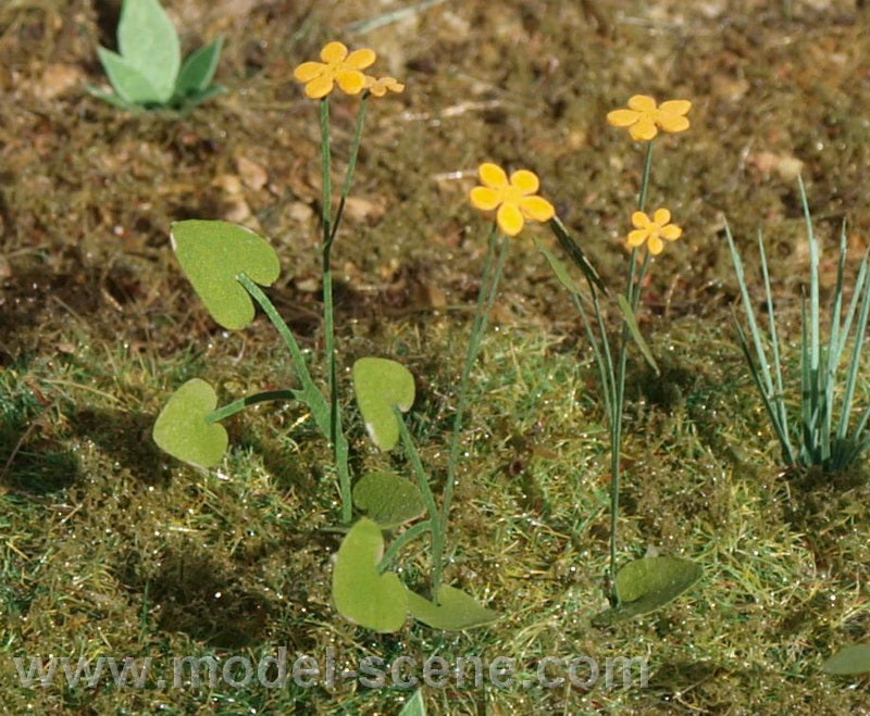Model Scene - VG3-003 - Large Marsh Marigold
