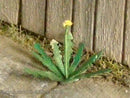 Model Scene - VG3-005 - Large Dandelion