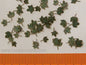 Model Scene - L4-001 - Medium Green Maple Leaves