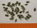 Model Scene - L4-002 - Medium Green Oak Leaves