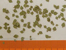 Model Scene - L4-003 - Medium Green Lime Leaves