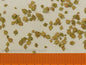 Model Scene - L4-103 - Medium Autumn Lime Leaves