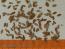 Model Scene - L4-105 - Medium Autumn Universal Leaves