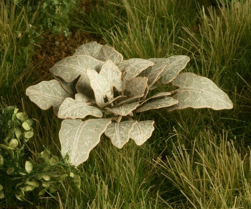 Model Scene - VG3-002 - Large Burdock