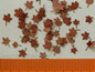 Model Scene - L8-201 - Small Dry Maple Leaves
