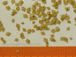 Model Scene - L8-203 - Small Dry Lime Leaves
