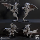 Assault Dragon Riders (4x warriors)