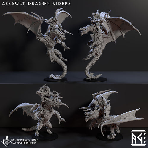 Assault Dragon Riders (4x warriors)