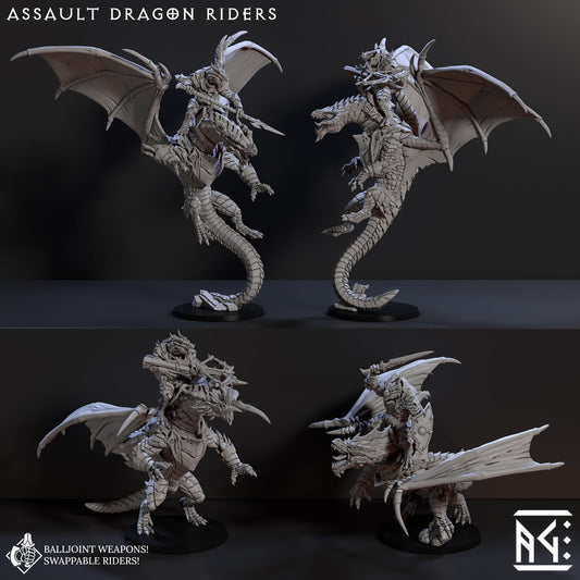 Assault Dragon Riders (4x warriors)
