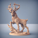 The Forest King