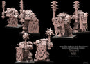 Shieldwall Black Orc Multi-Part Regiment