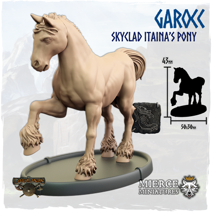 Garocc, Skyclad Itaina's Pony