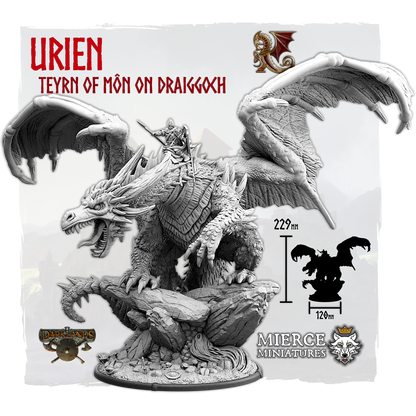 Draiggyn Urien, Teyrn of Môn on Foot and on Draiggoch
