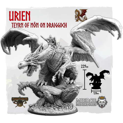 Draiggyn Urien, Teyrn of Môn on Foot and on Draiggoch