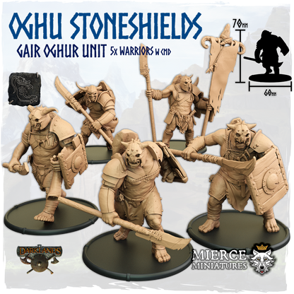 Oghu Stoneshields, Gair Oghur Unit (5x warriors w cmd)