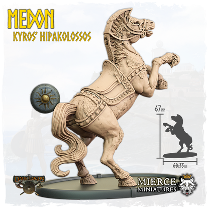 Medon, Kyros's Hipakolossos