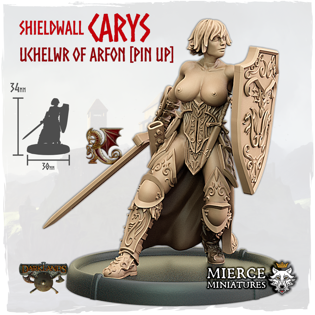 Shieldwall Carys, Uchelwr of Arfon on Foot [Pin Up]