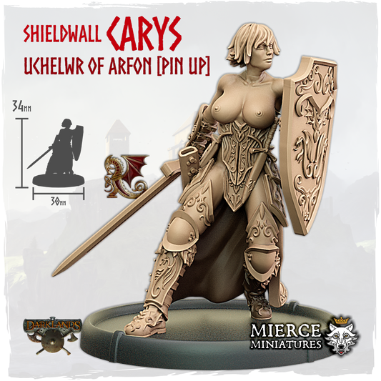 Shieldwall Carys, Uchelwr of Arfon on Foot [Pin Up]