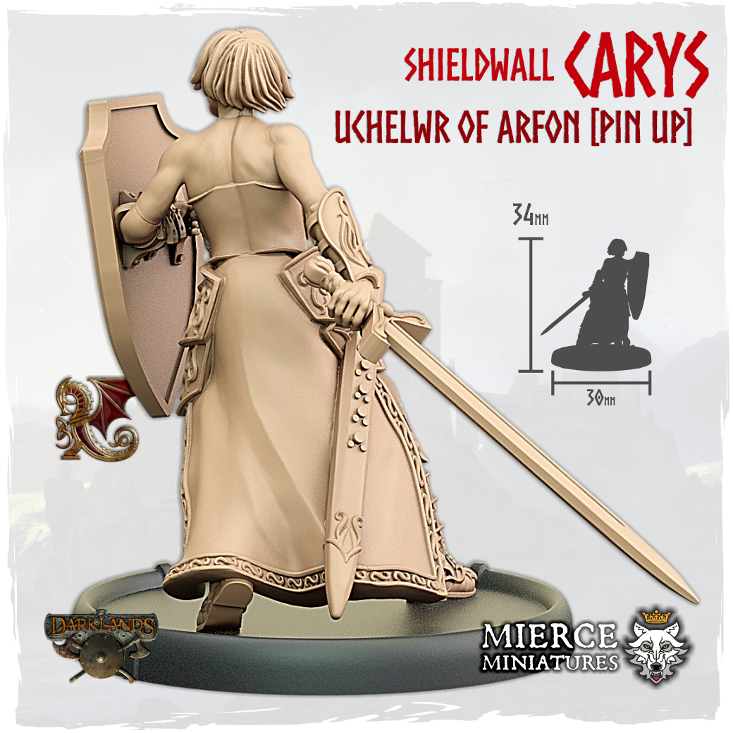 Shieldwall Carys, Uchelwr of Arfon on Foot [Pin Up]