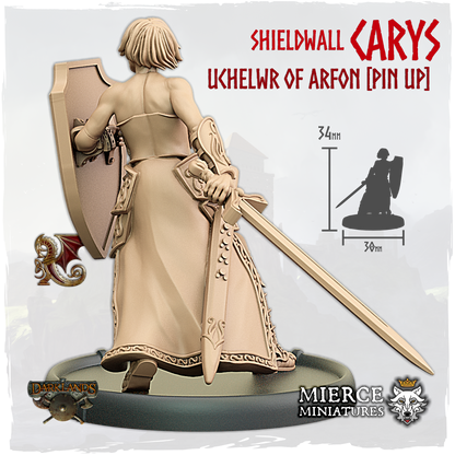 Shieldwall Carys, Uchelwr of Arfon on Foot [Pin Up]