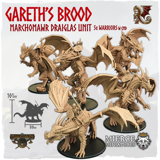 Gareth's Brood, Marchomawr Draiglas Unit (5x warriors w cmd)