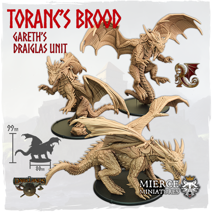 Toranc's Brood, Gareth's Draiglas Unit (3x warriors)
