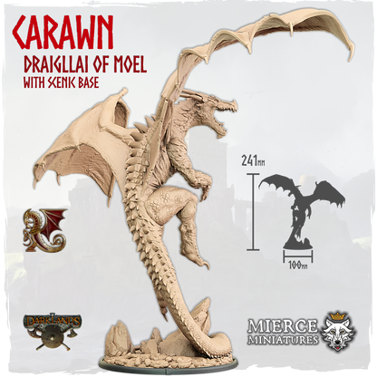 Carawn, Draigllai of Moel