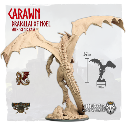 Carawn, Draigllai of Moel