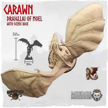 Carawn, Draigllai of Moel