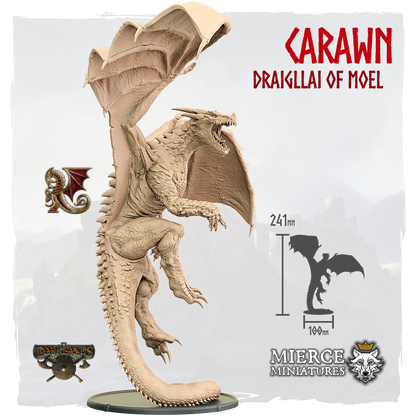 Carawn, Draigllai of Moel