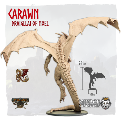 Carawn, Draigllai of Moel